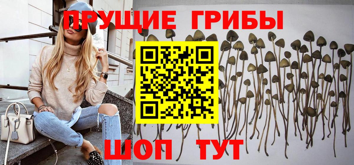 Псилоцибиновые грибы Magic Shrooms  Вход с VPN  Галлюциногенные грибы мухоморы  Костомукша 